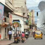 palmira