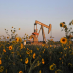 petrole