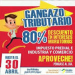 caninotici (7)