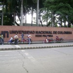palmira (5)