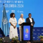 cop16 (1)