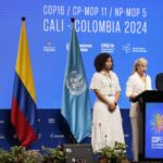 cop16 (4)