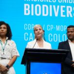 cop16 (6)