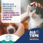 CUIDADO DE MASCOTAS