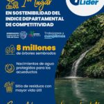 Pieza 3 Valle Lider